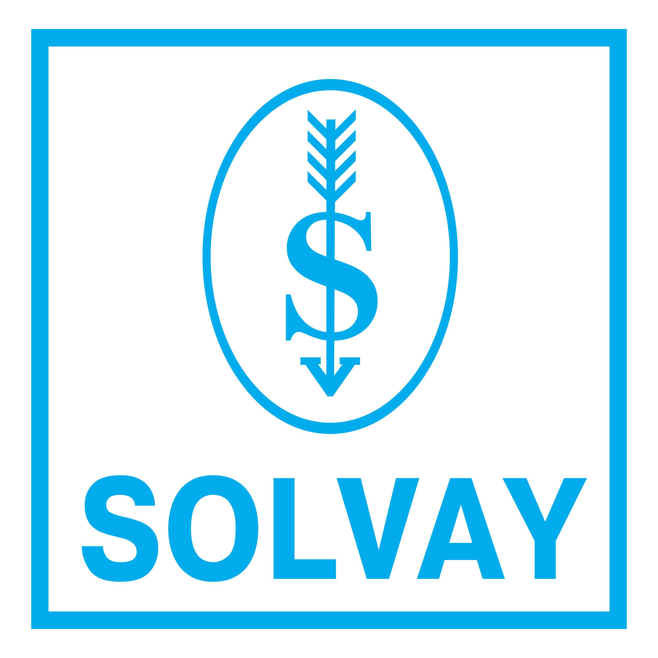 Cliente de SOLVAY DO BRASIL S/A