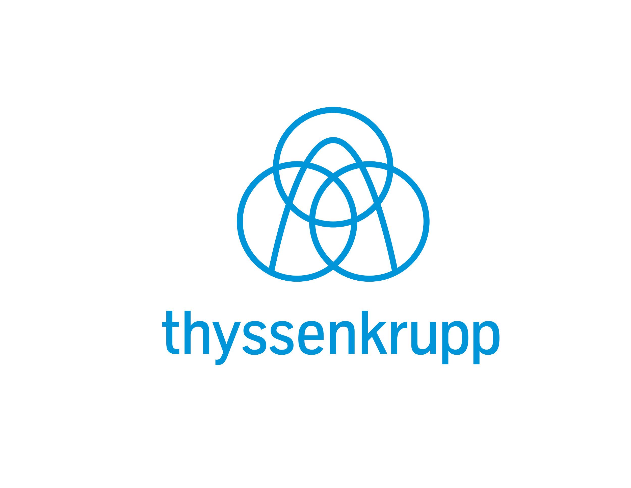 Cliente de THYSSENKRUPP METALÚRGICA CAMPO LIMPO LTDA.